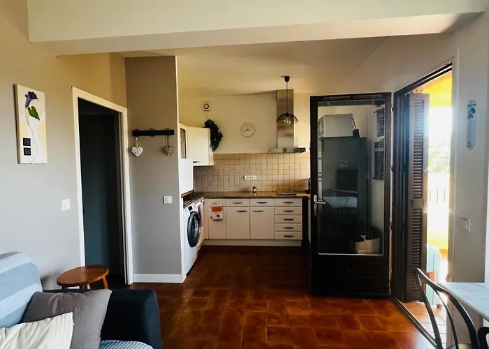 T2 Sur Hauteur De Avec Vue Sur La Baie D Ajaccio